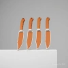 Youdaoplaceholder0 philips razor with accessories set Application Scenario
